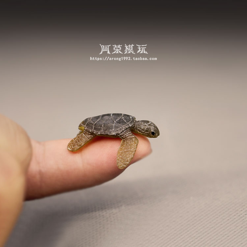 Deniz yaşamı deniz kaplumbağas - Marine Aquarium Japan incelemesi ve fiyatı