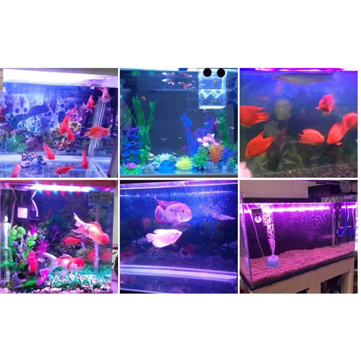 50W 60W 70W 100W RGB 26-28V Yü - Marine Aquarium Uv Light incelemesi ve fiyatı